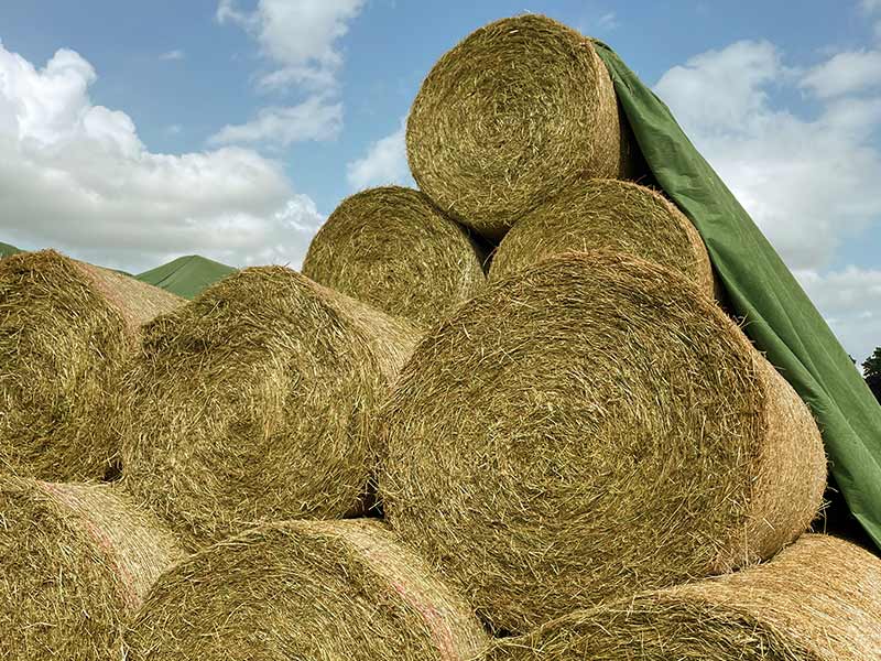 lohnunternehmen gerbitz ahrensburg storman arbeiten heurundballen verkauf