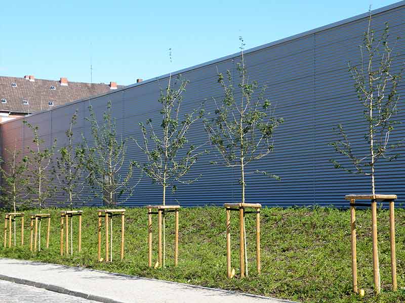 lohnunternehmen gerbitz ahrensburg storman arbeiten landschaftsbau pflanzarbeiten bodenvorbereitung pflanzgrube setzen von baeumen beaesserung baumpflege stadtklima